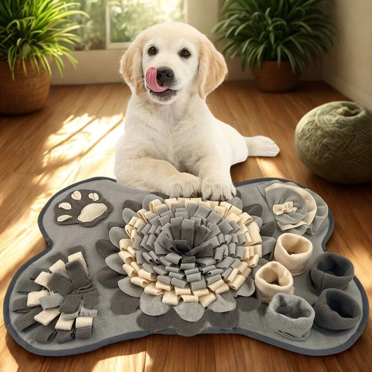 le Tapis de fouille zen stimulation mentale & plaisir