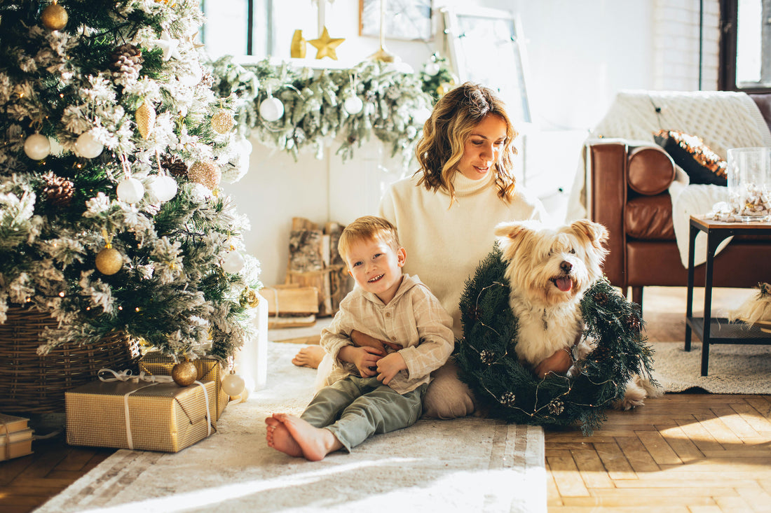 Fêtes de fin d’année : pourquoi votre chien est stressé (et comment l’apaiser naturellement)”