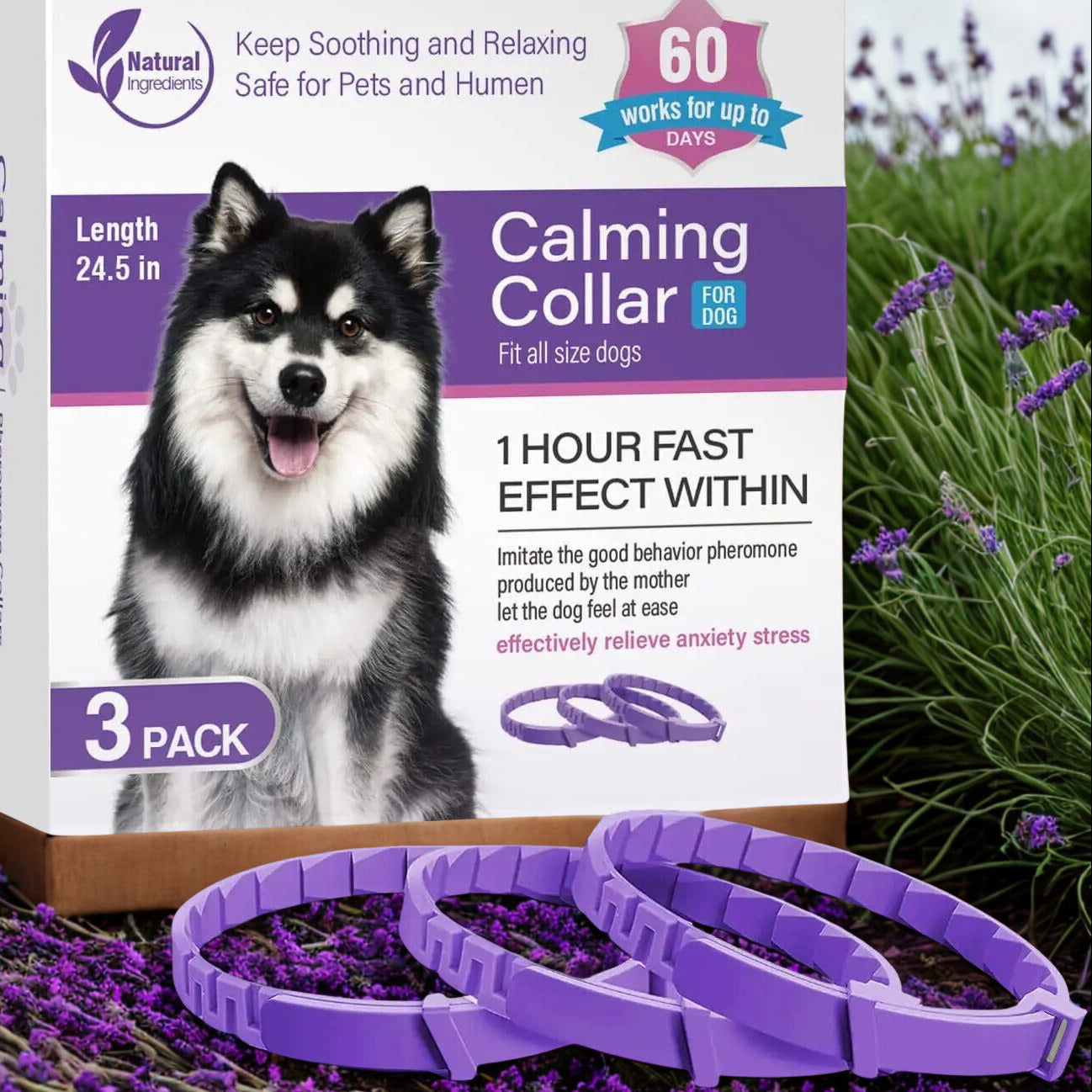 Collier apaisant Zen -  Aide à réduire  stress et agitation du chien