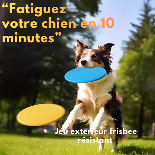 Frisbee Chien Souple – Jeu d’Extérieur Résistant & Anti-Ennui