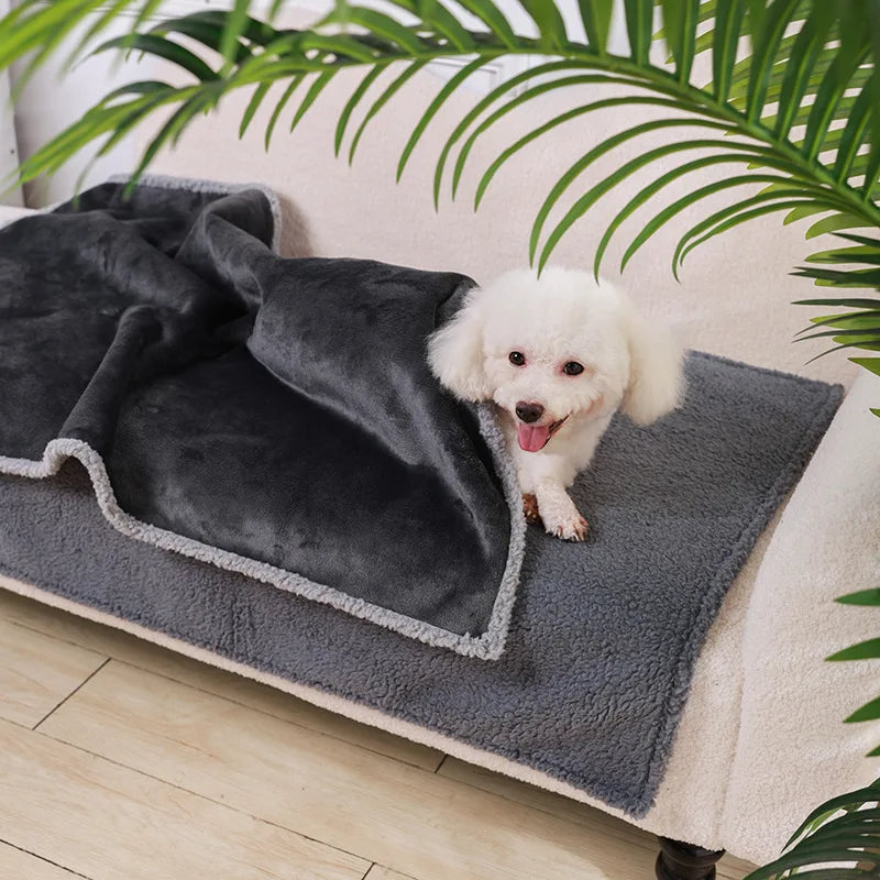 Couverture douce pour chien- Confort, chaleur et bien-être.
